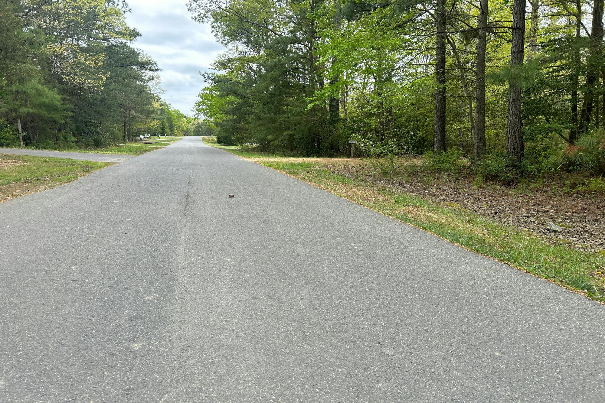 Chestnut St, Lexington Park, MD 20653