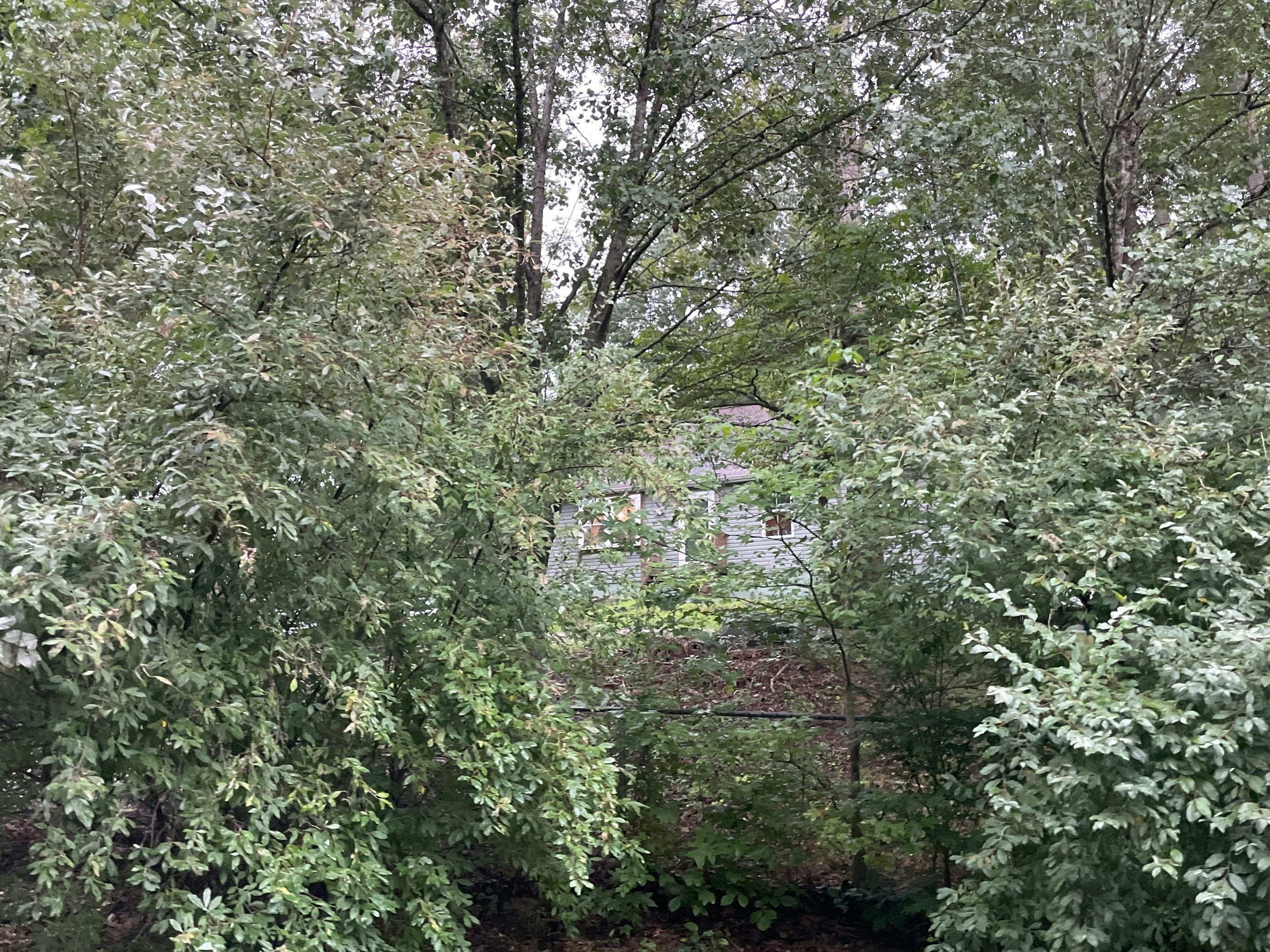 Gayle Ct, Spotsylvania, VA 22553 #1
