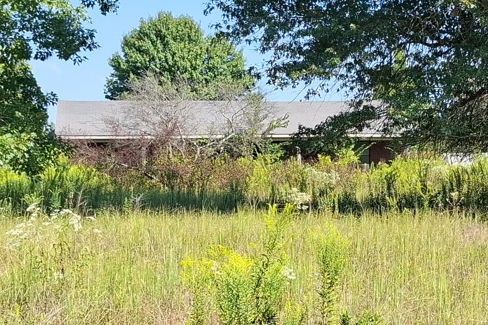 County Road 413 , Hillsboro, AL 35643