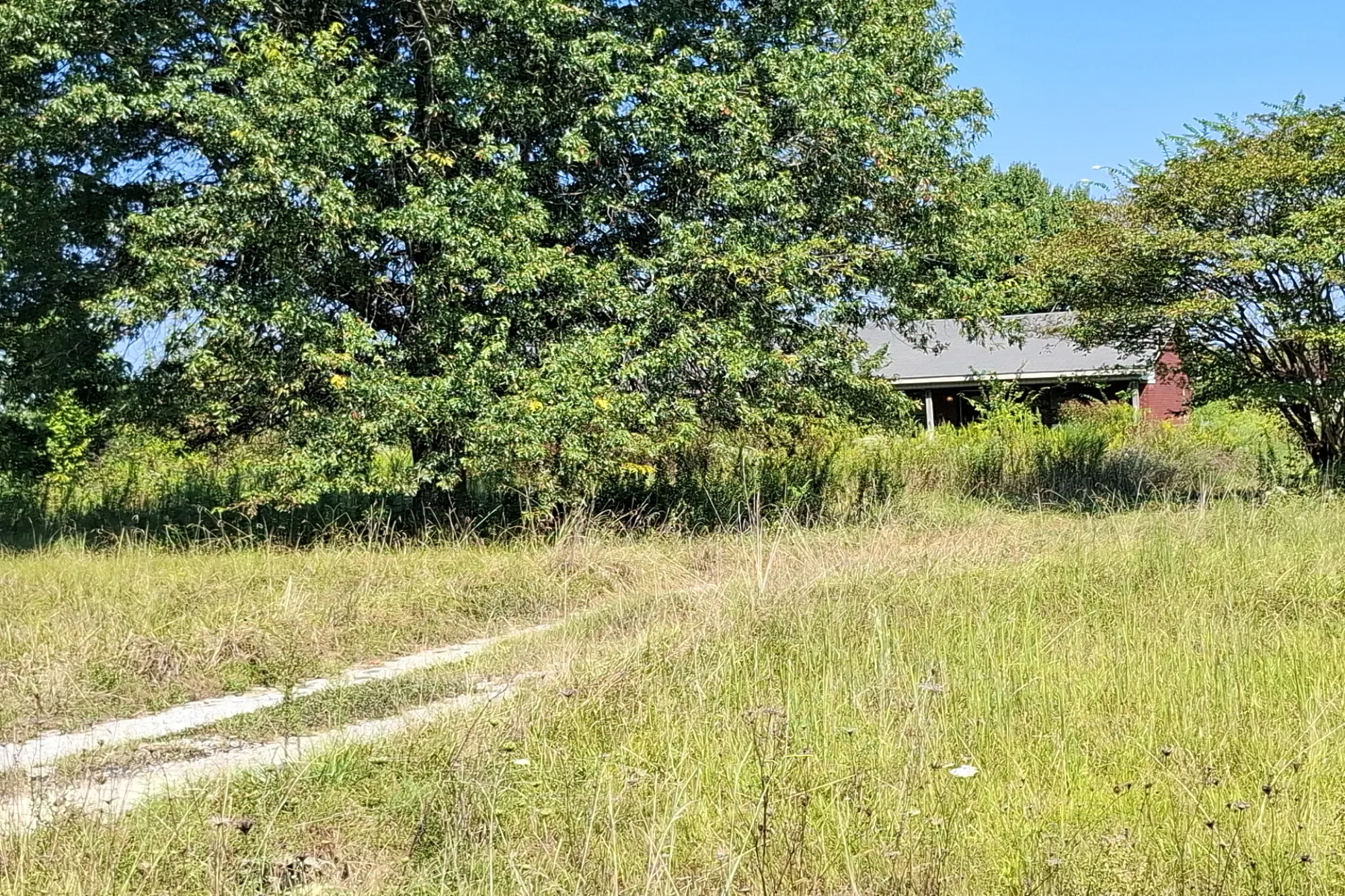 County Road 413 , Hillsboro, AL 35643 #1
