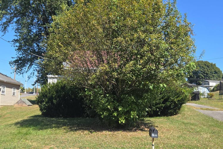 511 Chestnut St Millersburg, PA 17061, Dauphin County