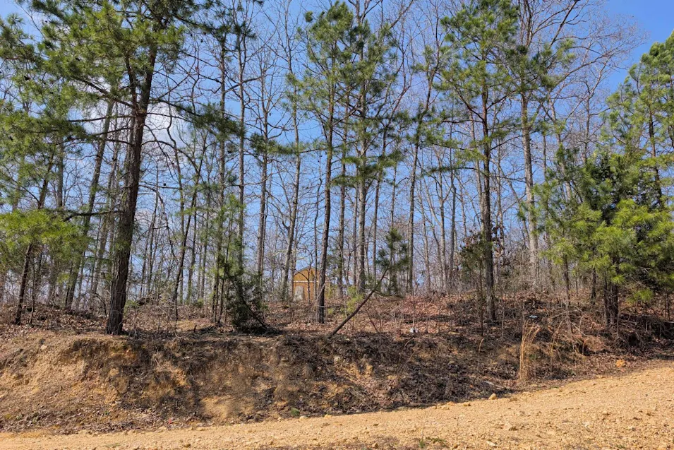 1215 Hidden Valley Lks Annapolis, MO 63620, Iron County