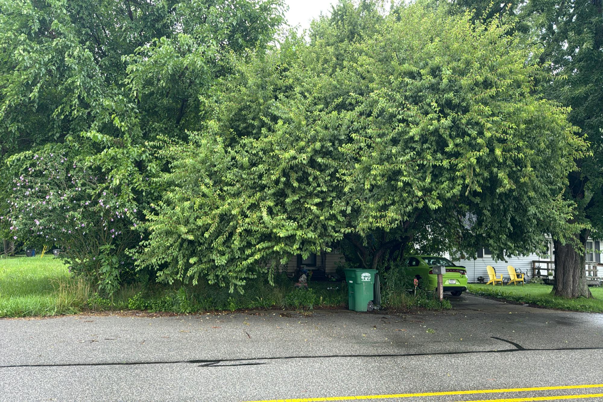 Nuttman Ave, Fort Wayne, IN 46807