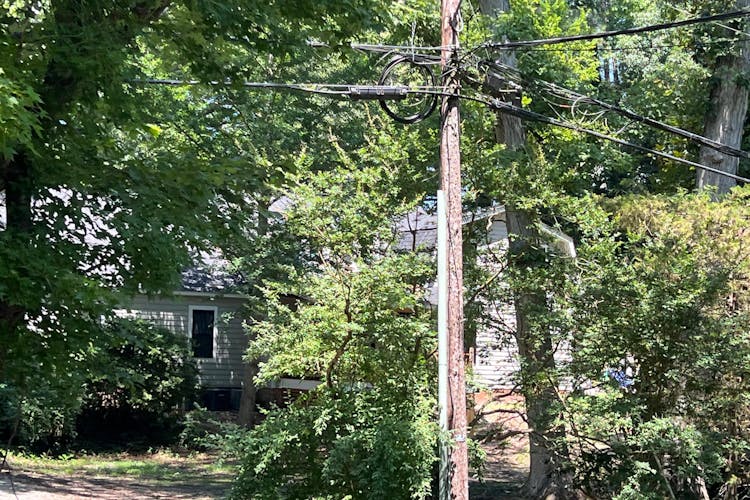 100 Paddock Lane Williamsburg, VA 23188, James City County