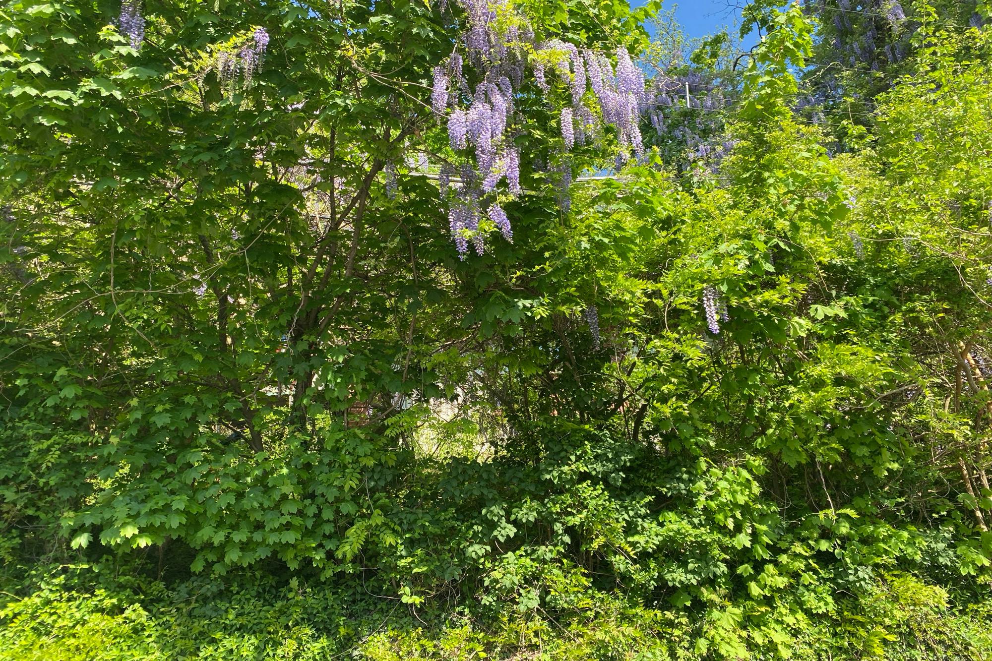 Friedensburg Rd, Reading, PA 19606 #1