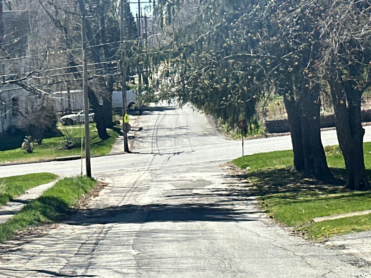 Chestnut St, North Brookfield, MA 01535 #1
