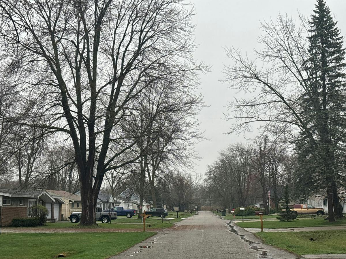 Kenmore St, Shelby Township, MI 48317 #1