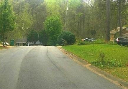 Natalie Way, Ellenwood, GA 30294 #1