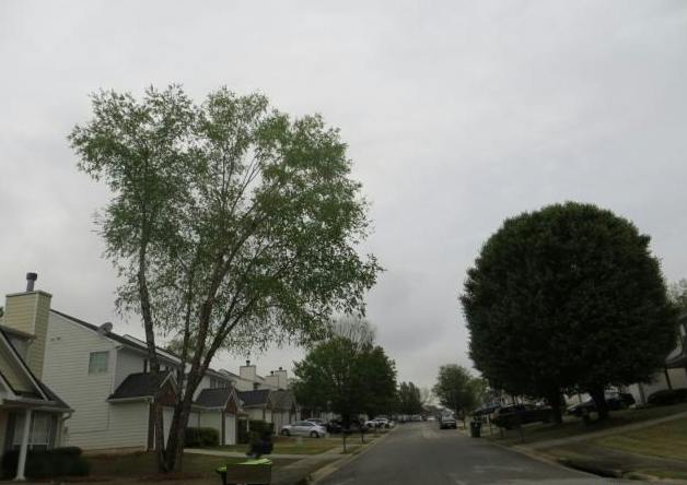 Ravenwood Ct, Union City, GA 30291 #1