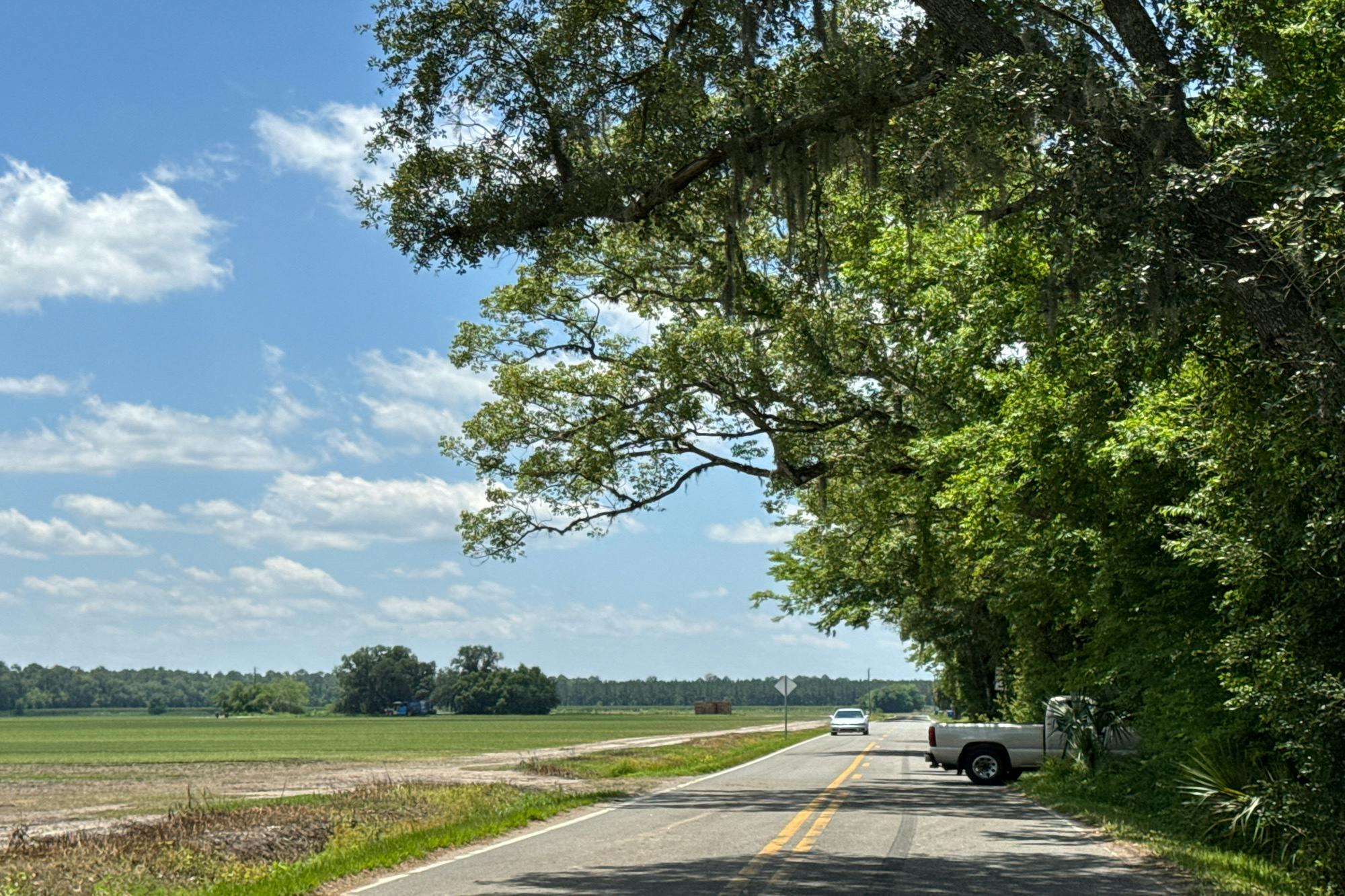 Allison Ave, Hastings, FL 32145