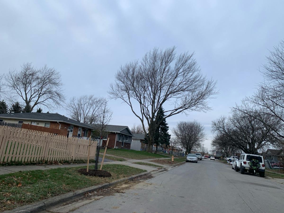 Alice Rita St, Columbus, OH 43228