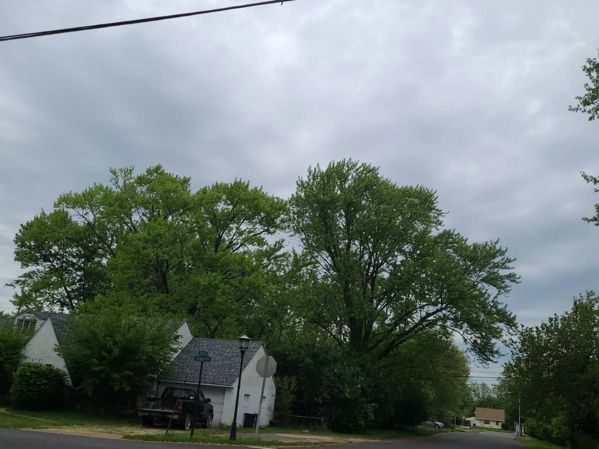 Lehner Rd, Columbus, OH 43224 #1