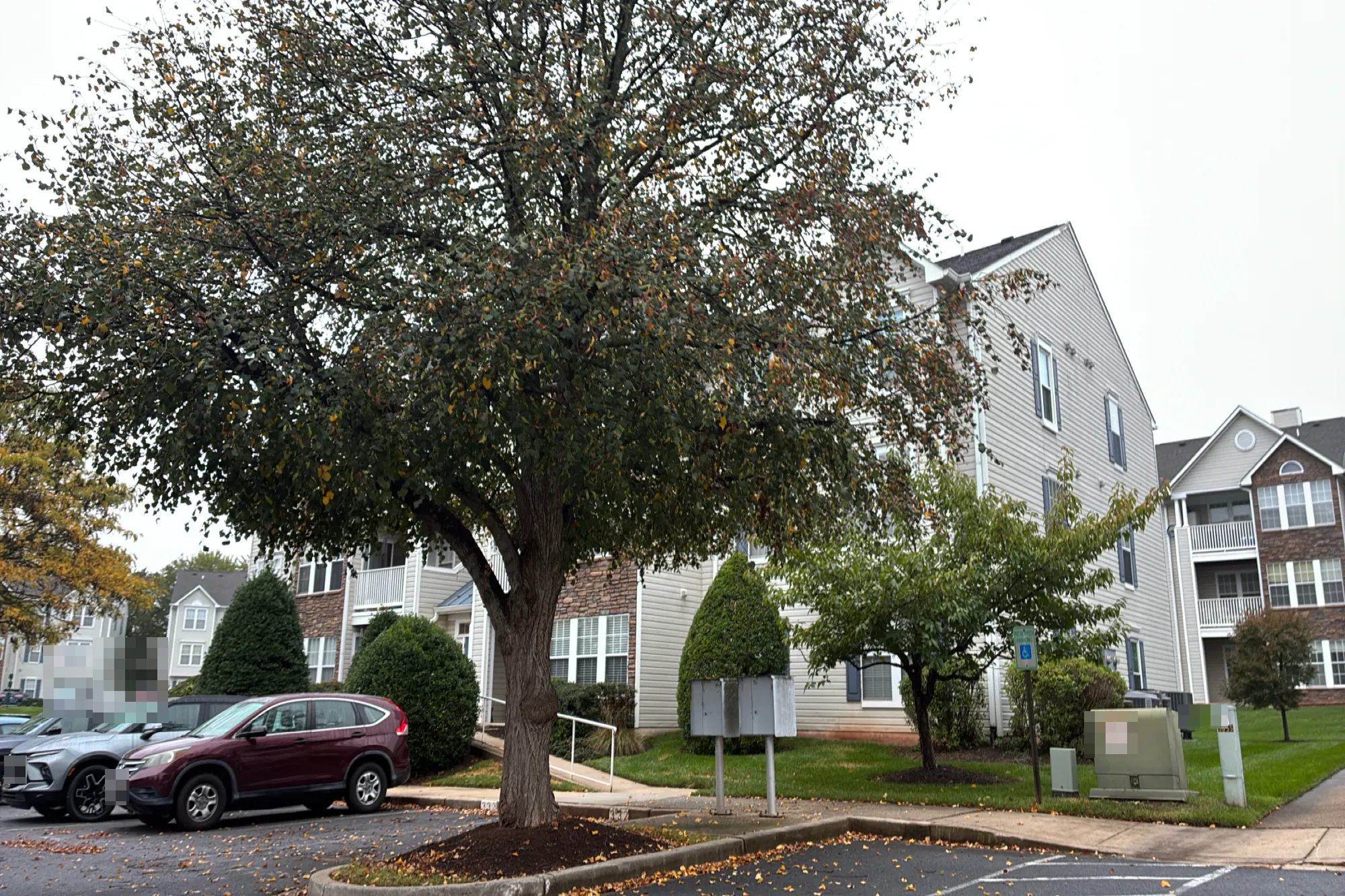 Wade Ct, Frederick, MD 21703 #1