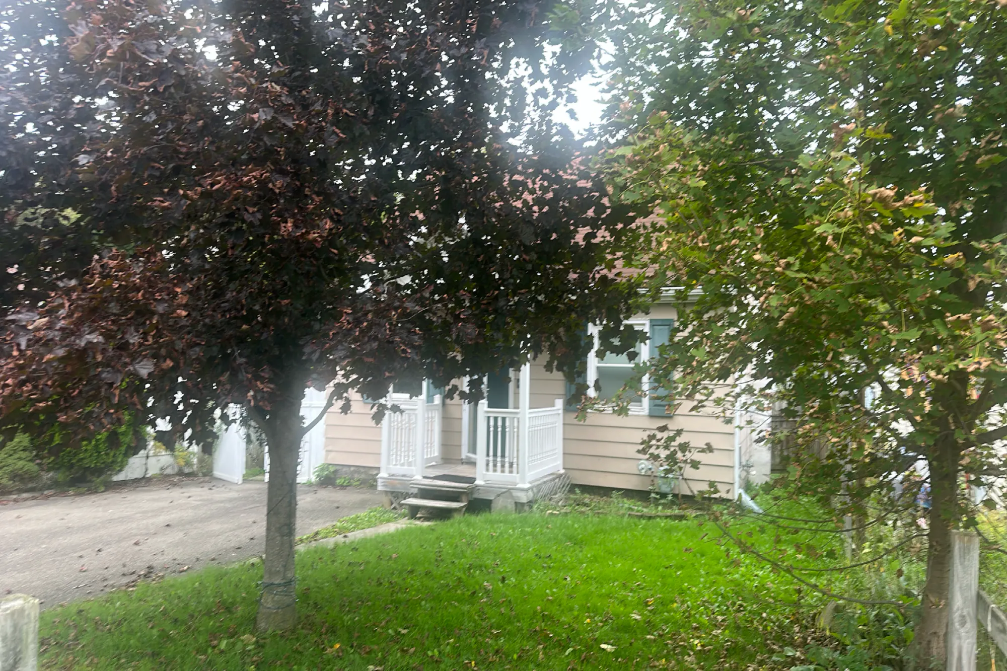 Carl St, Endicott, NY 13760 #1