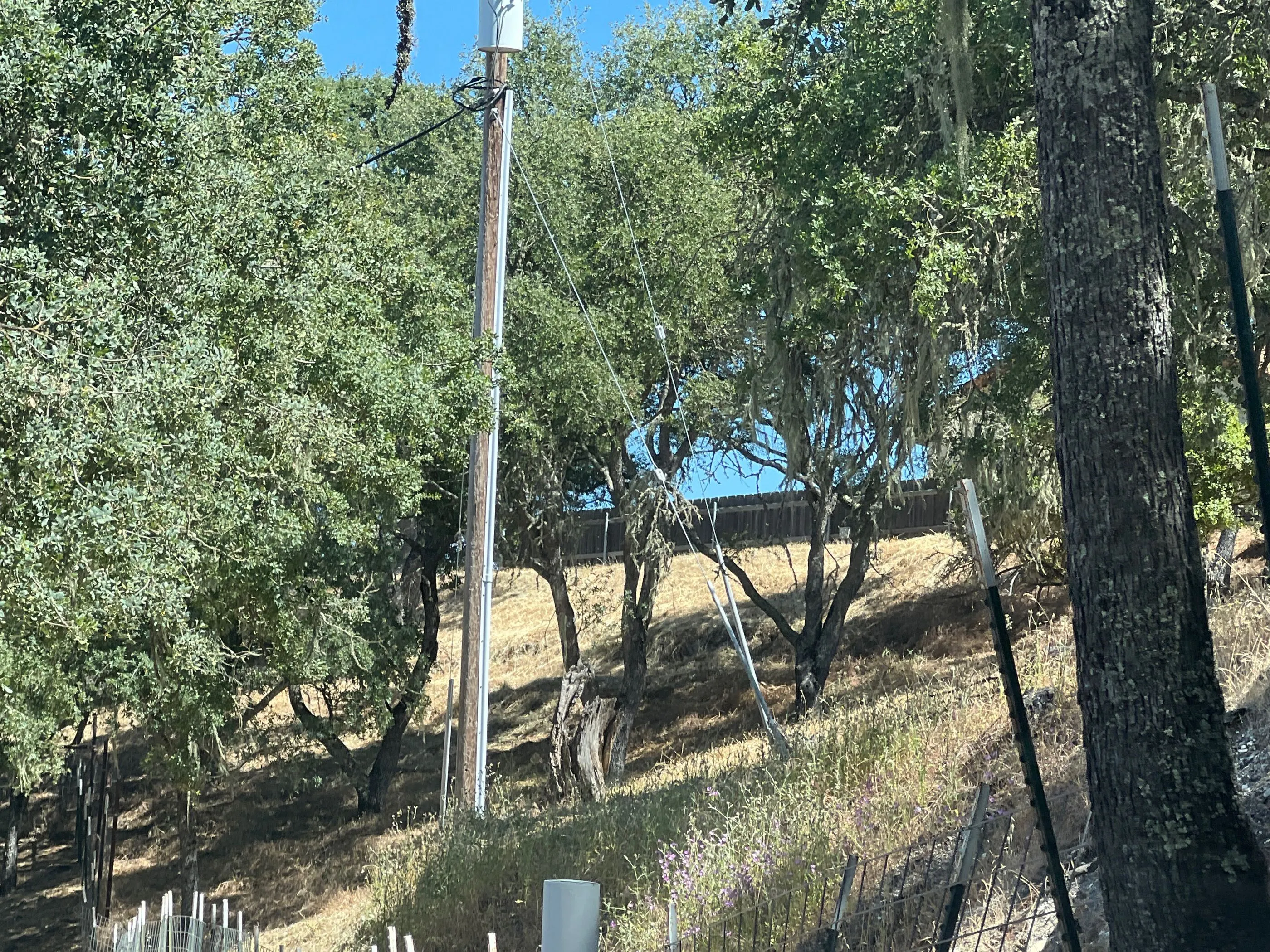 Madrone St, Paso Robles, CA 93446 #1