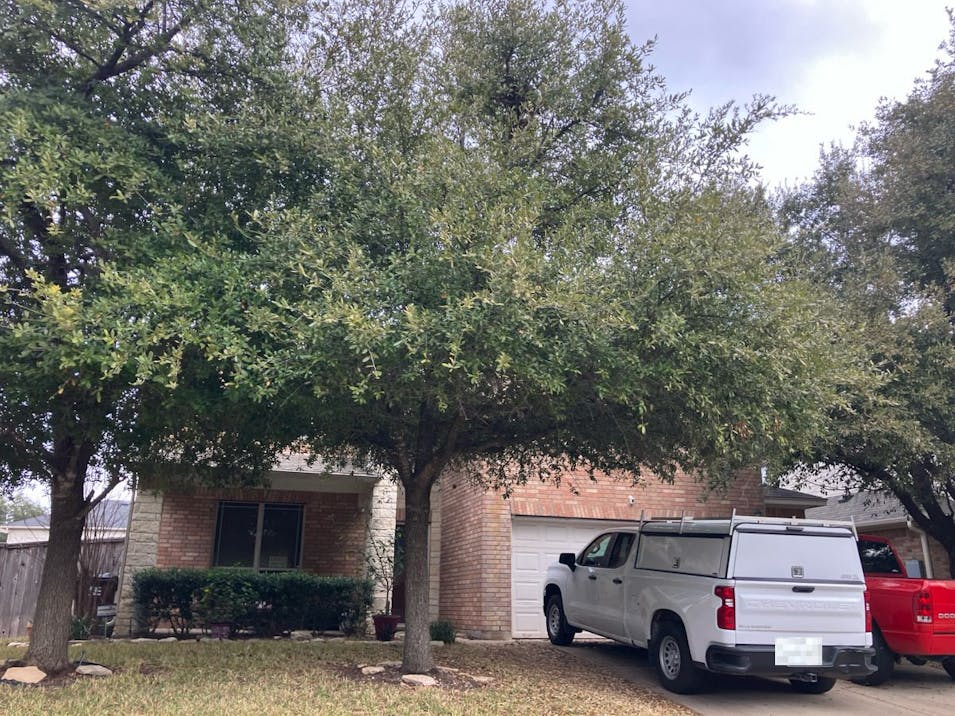 523 Centerbrook Place Round Rock, TX 78664, Williamson County