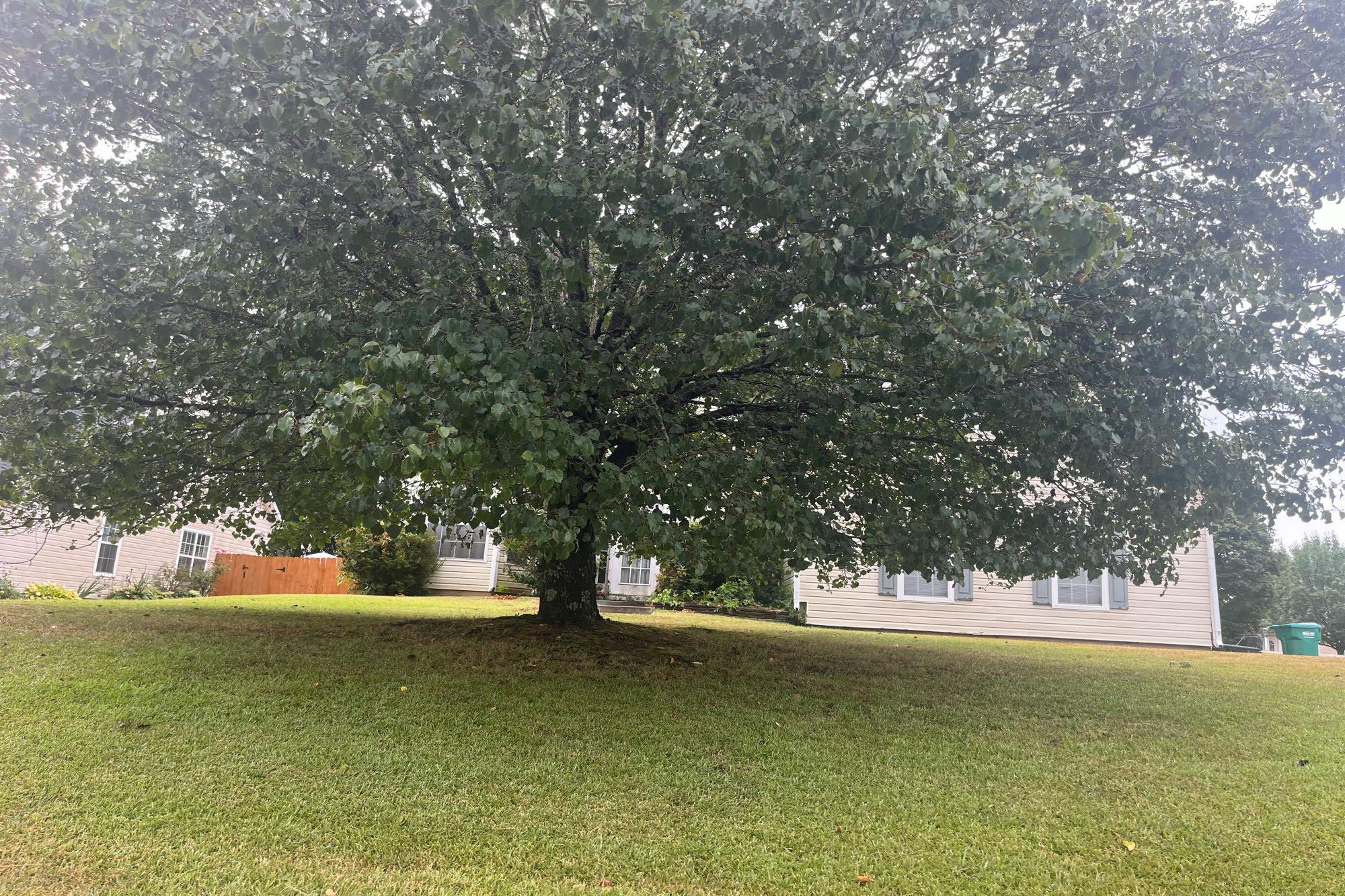 Fable Ln, Canton, GA 30114
