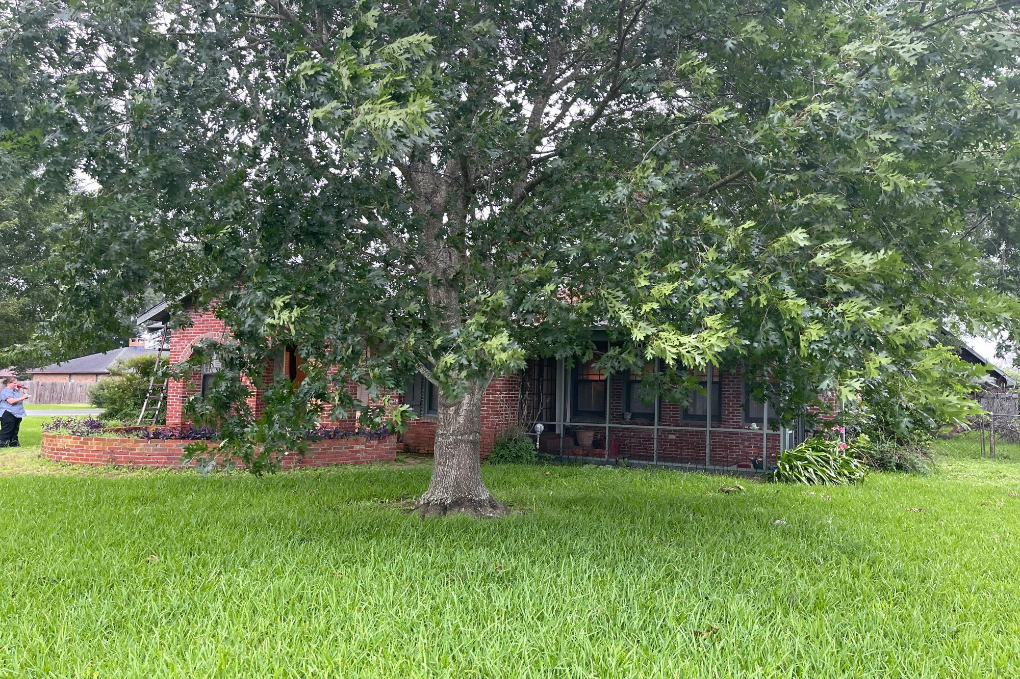 Jefferson Blvd, Groves, TX 77619 #1