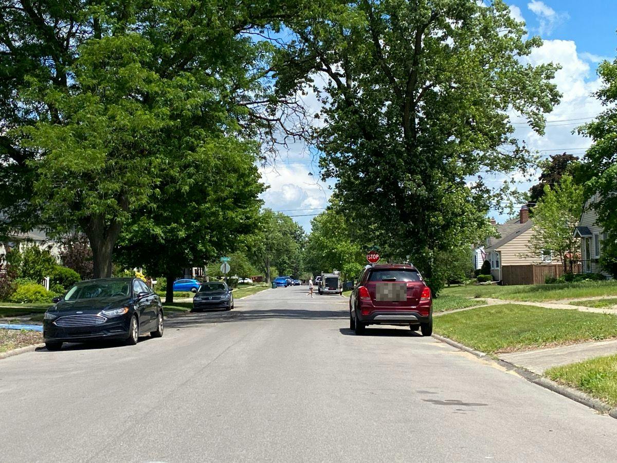 Hazelhurst St, Ferndale, MI 48220