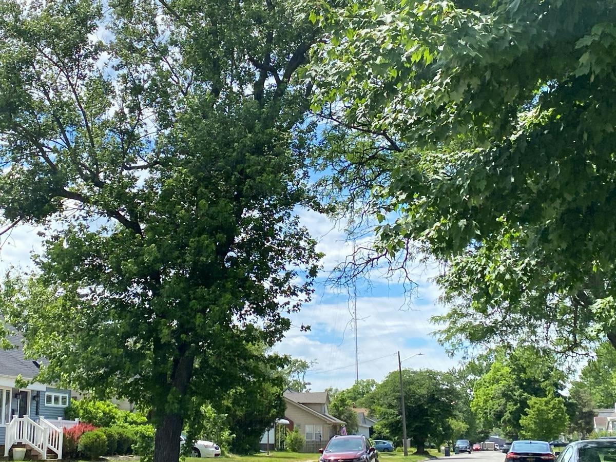 Hazelhurst St, Ferndale, MI 48220 #1