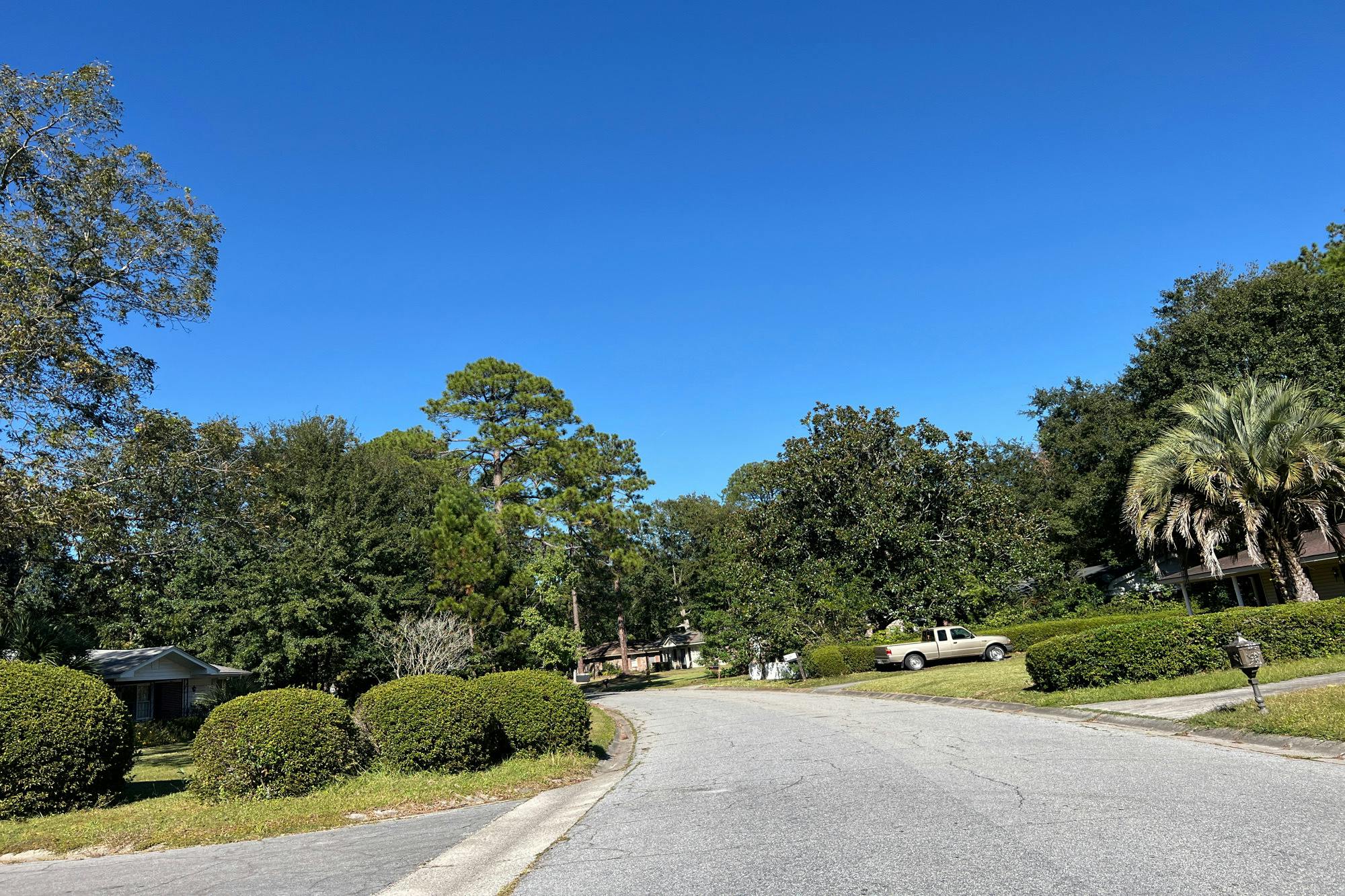 Paradise Dr, Savannah, GA 31406 #1