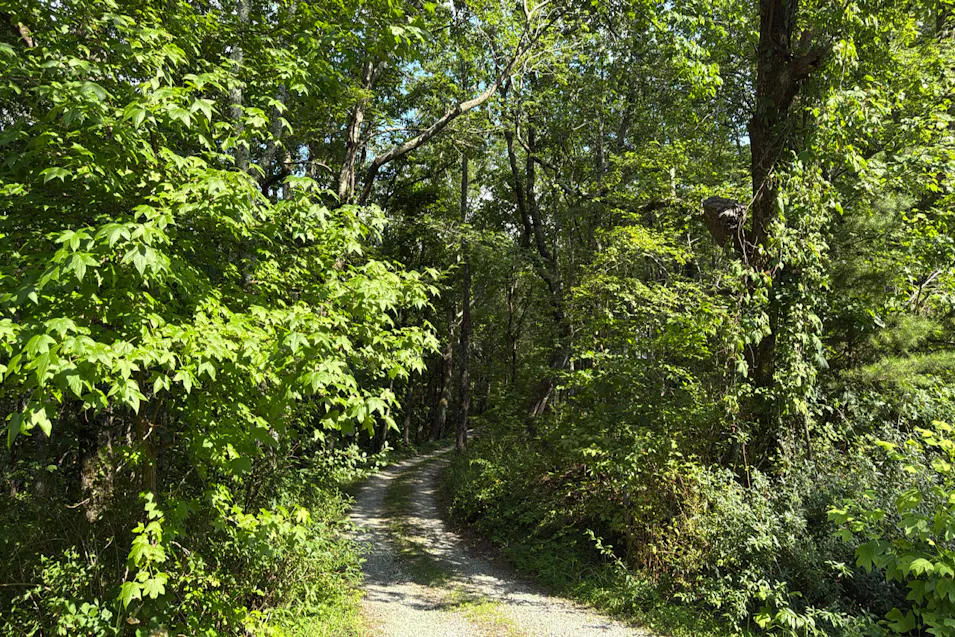 4010 Hwy 136 E Jasper, GA 30143, Pickens County