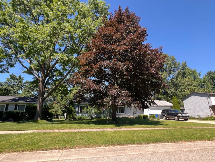 2691 Maplecrest Dr Waterford, MI 48329, Oakland County