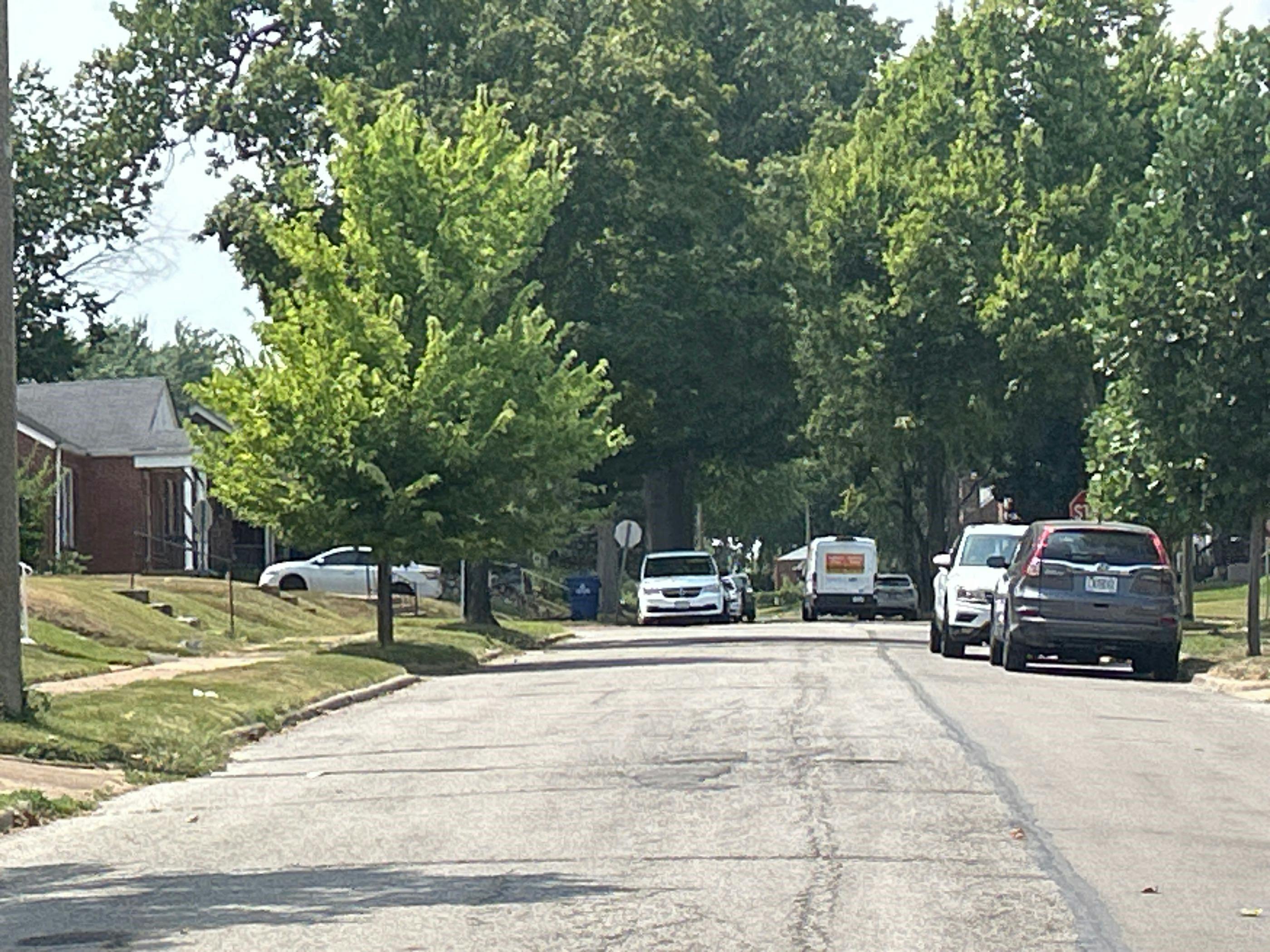 Julian Ave, Saint Louis, MO 63130