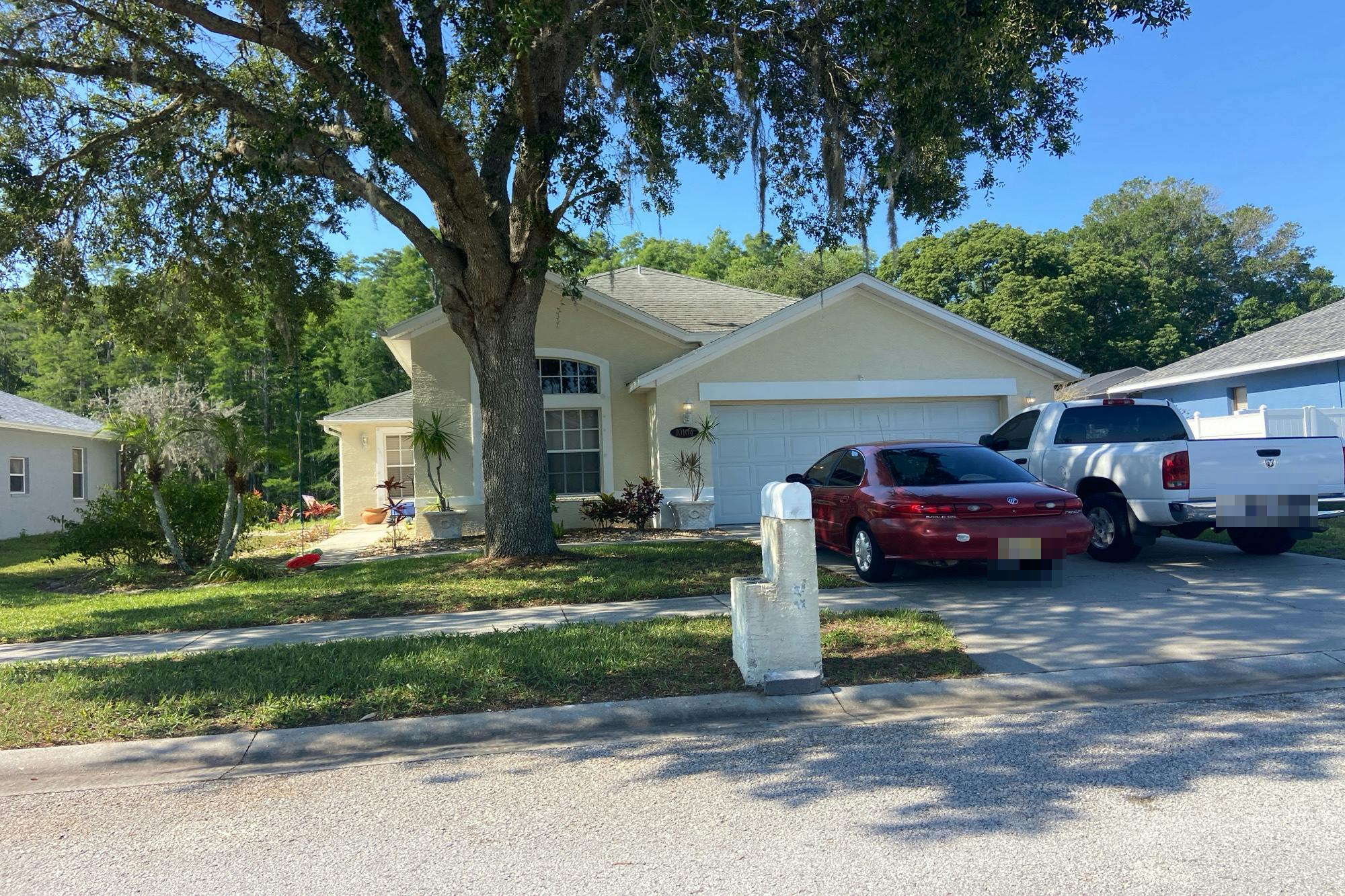 Beefmaster Ct, New Port Richey, FL 34655 #1