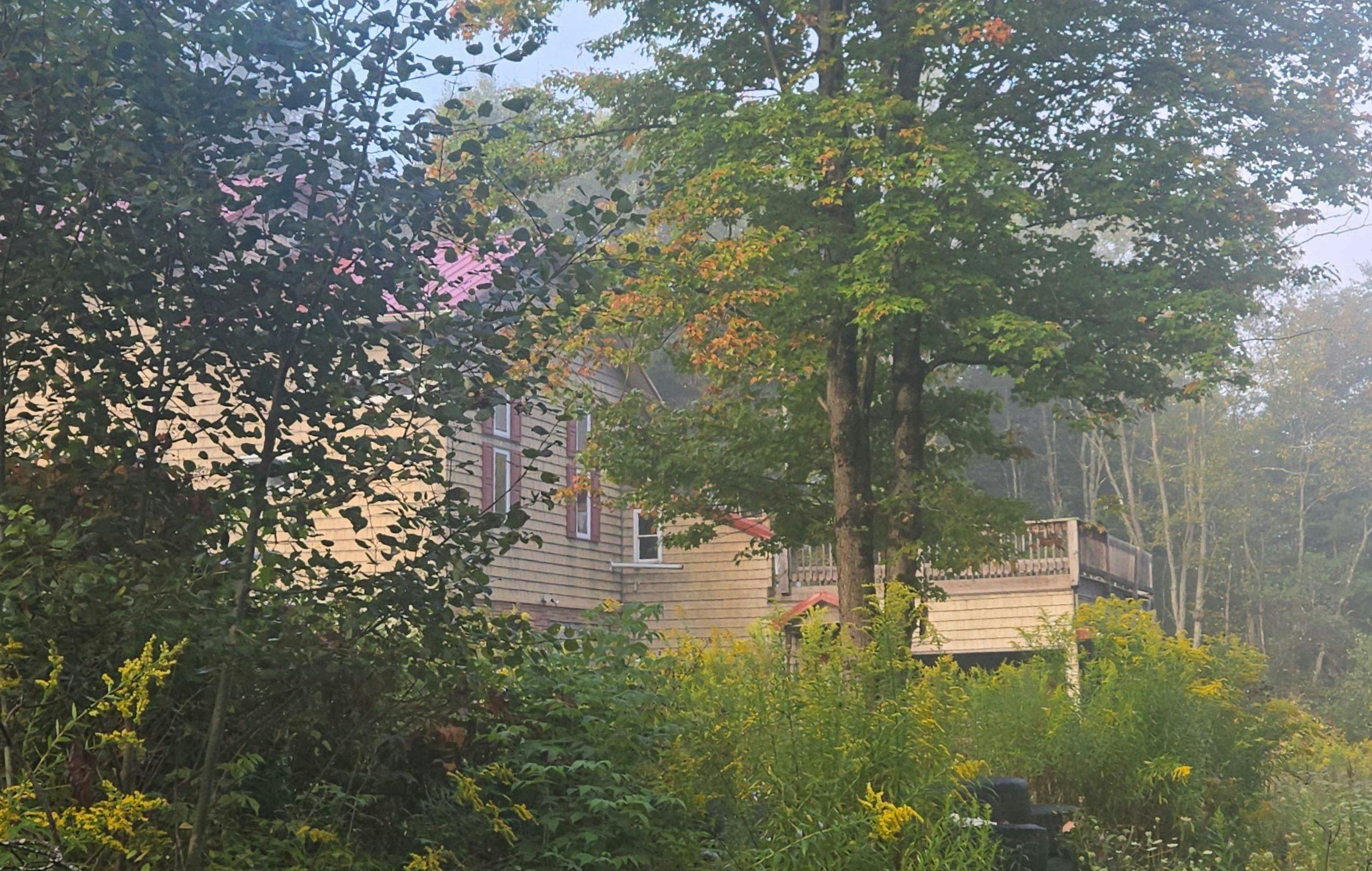 Dry Run Rd, Coudersport, PA 16915