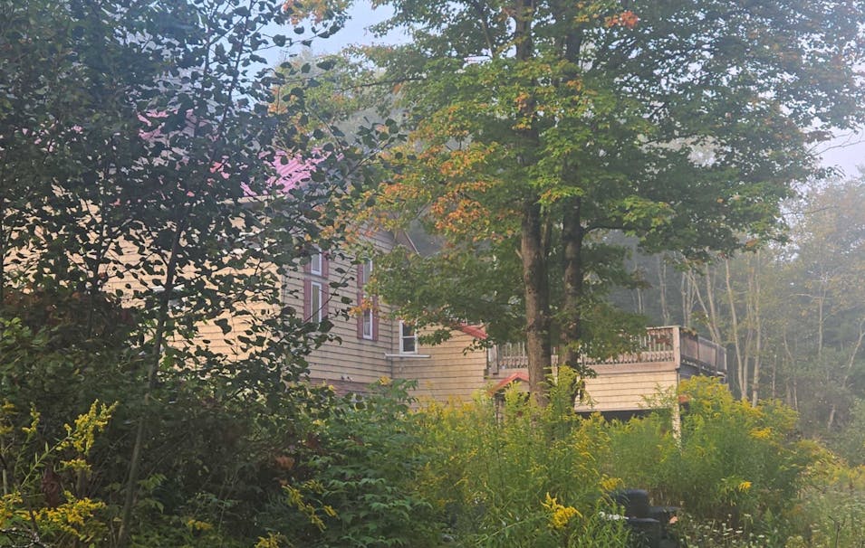 110 Dry Run Road Coudersport, PA 16915, Potter County