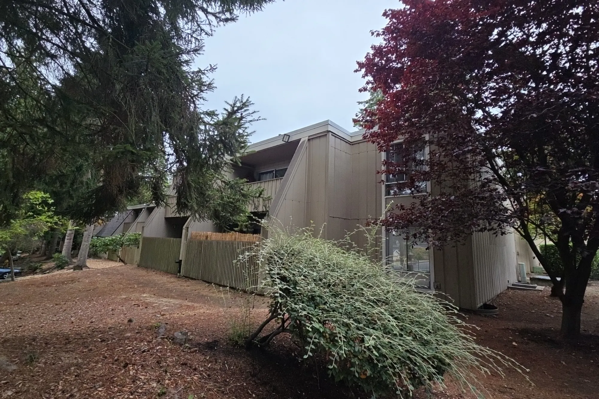180th St, Lynnwood, WA 98037 #1