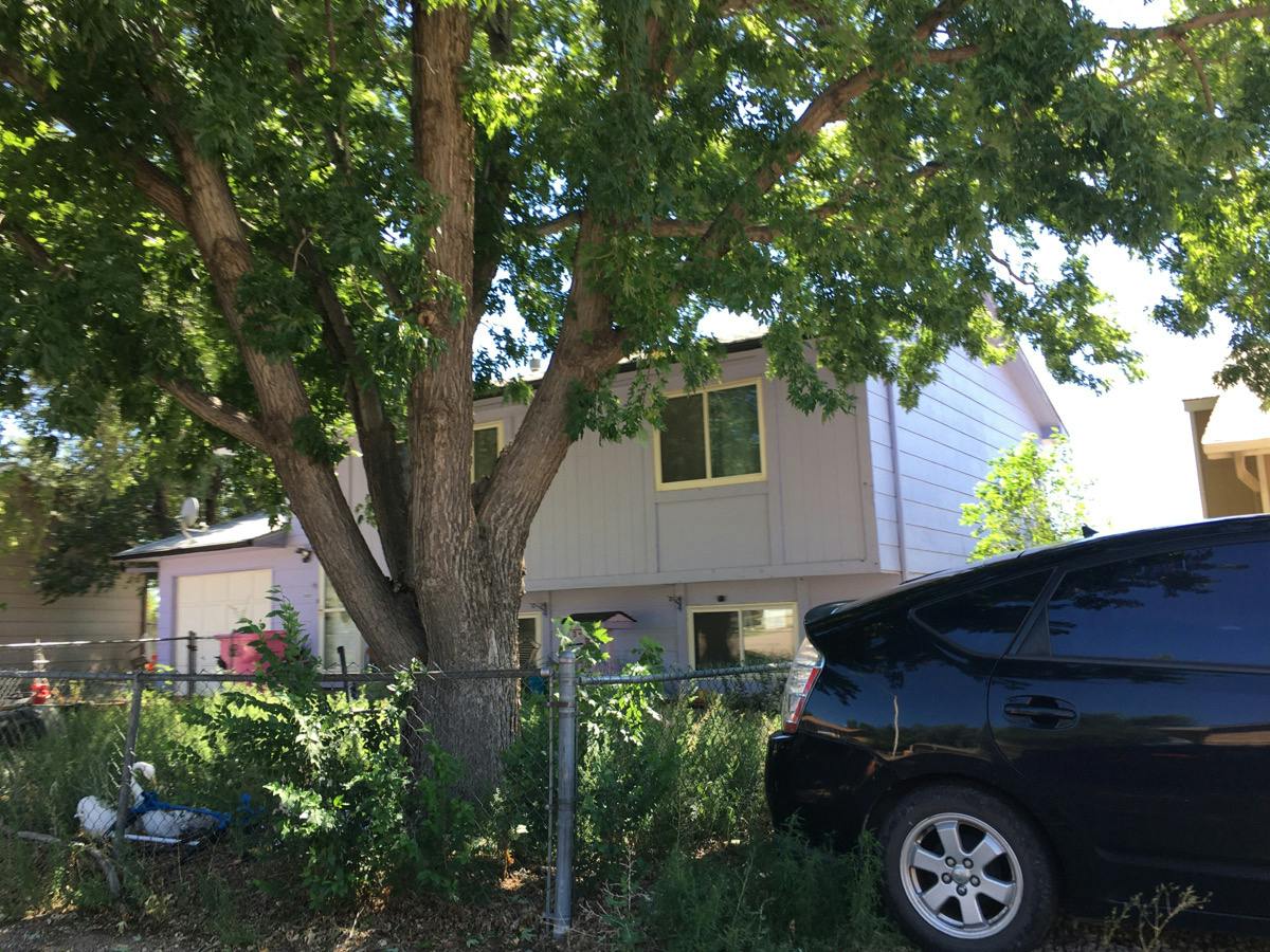 Springnite Dr, Colorado Springs, CO 80916 #1