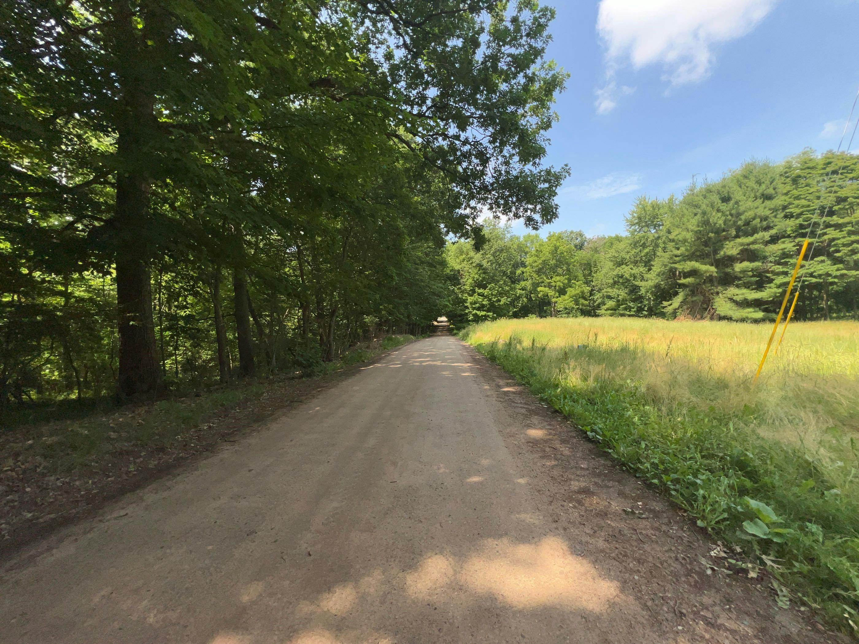 Briggs Rd, Vestaburg, MI 48891 #1
