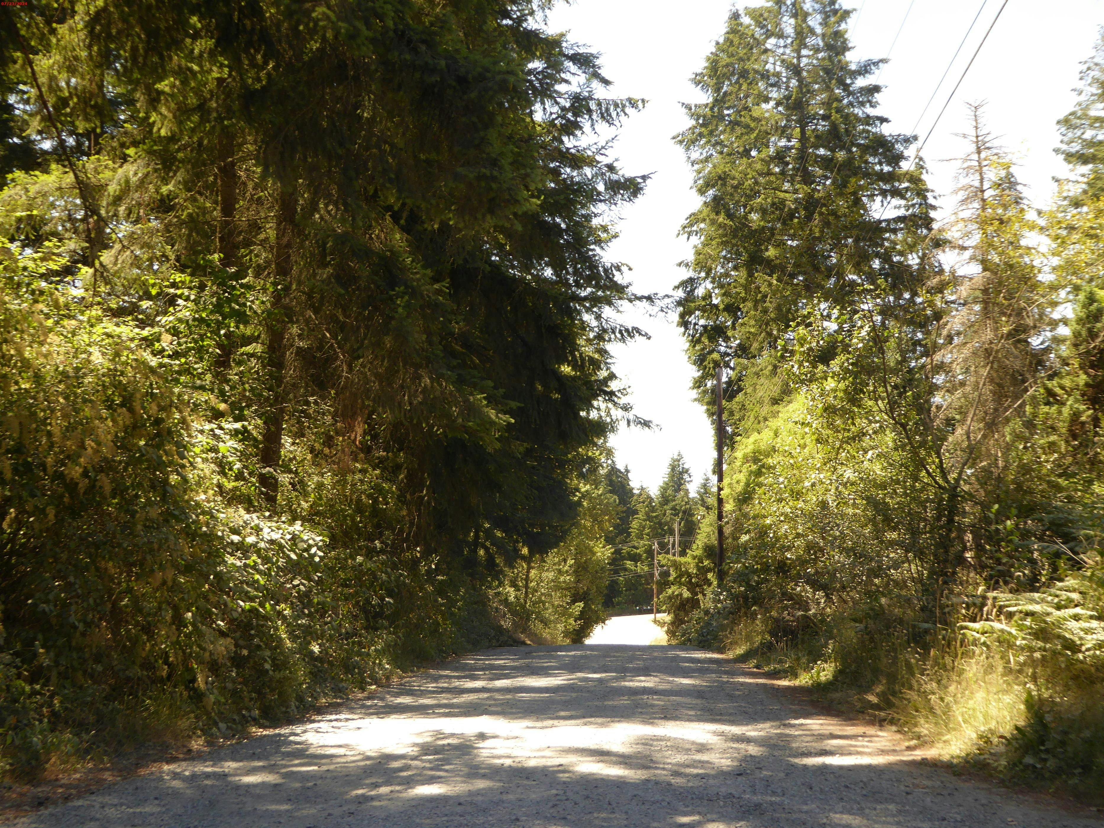 70th Ave, Roy, WA 98580 #1