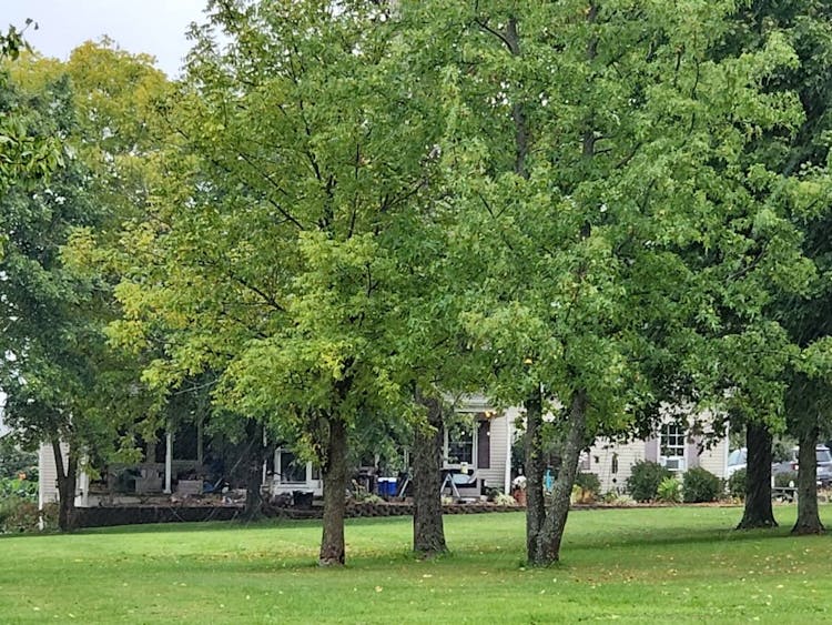 26616 Gay Dreisbach Road Circleville, OH 43113, Pickaway County