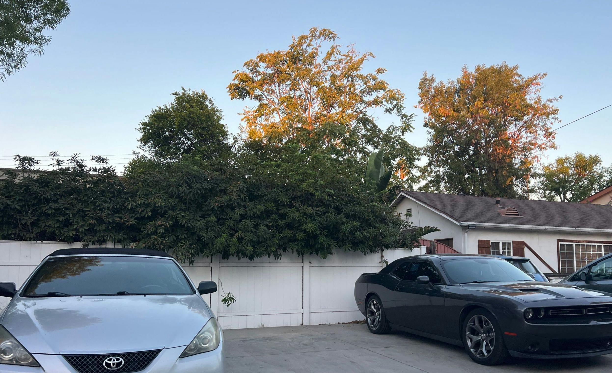 Burbank Blvd, Valley Village, CA 91607