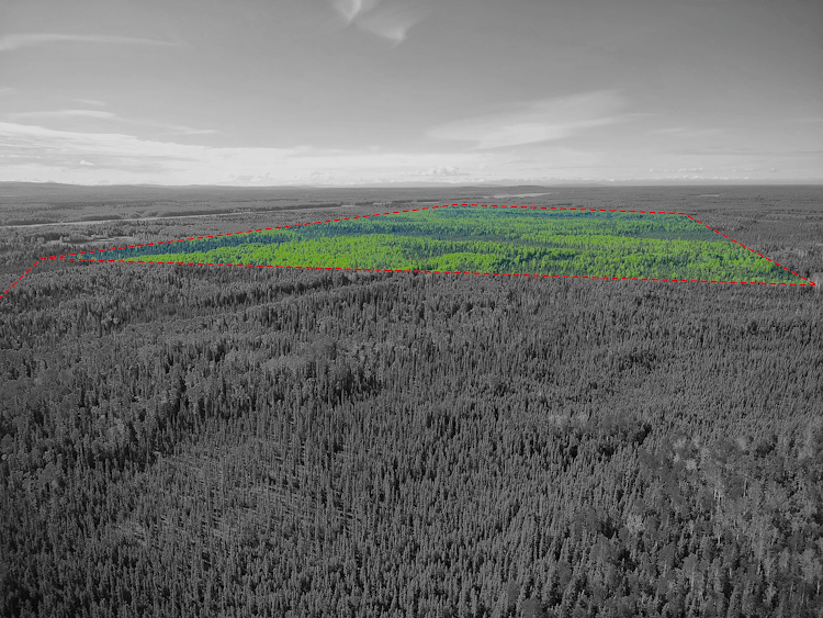 TRACT A Ascs #86-90 North Pole, AK 99705, Fairbanks North Star Borough County