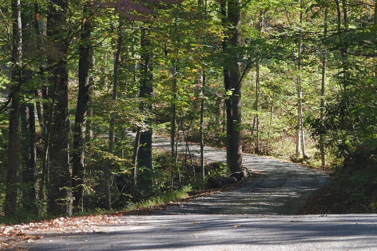 3487 Covemont Ln Sevierville, TN 37862, Sevier County