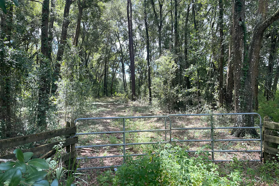 20870 NE 30th St Williston, FL 32696, Levy County