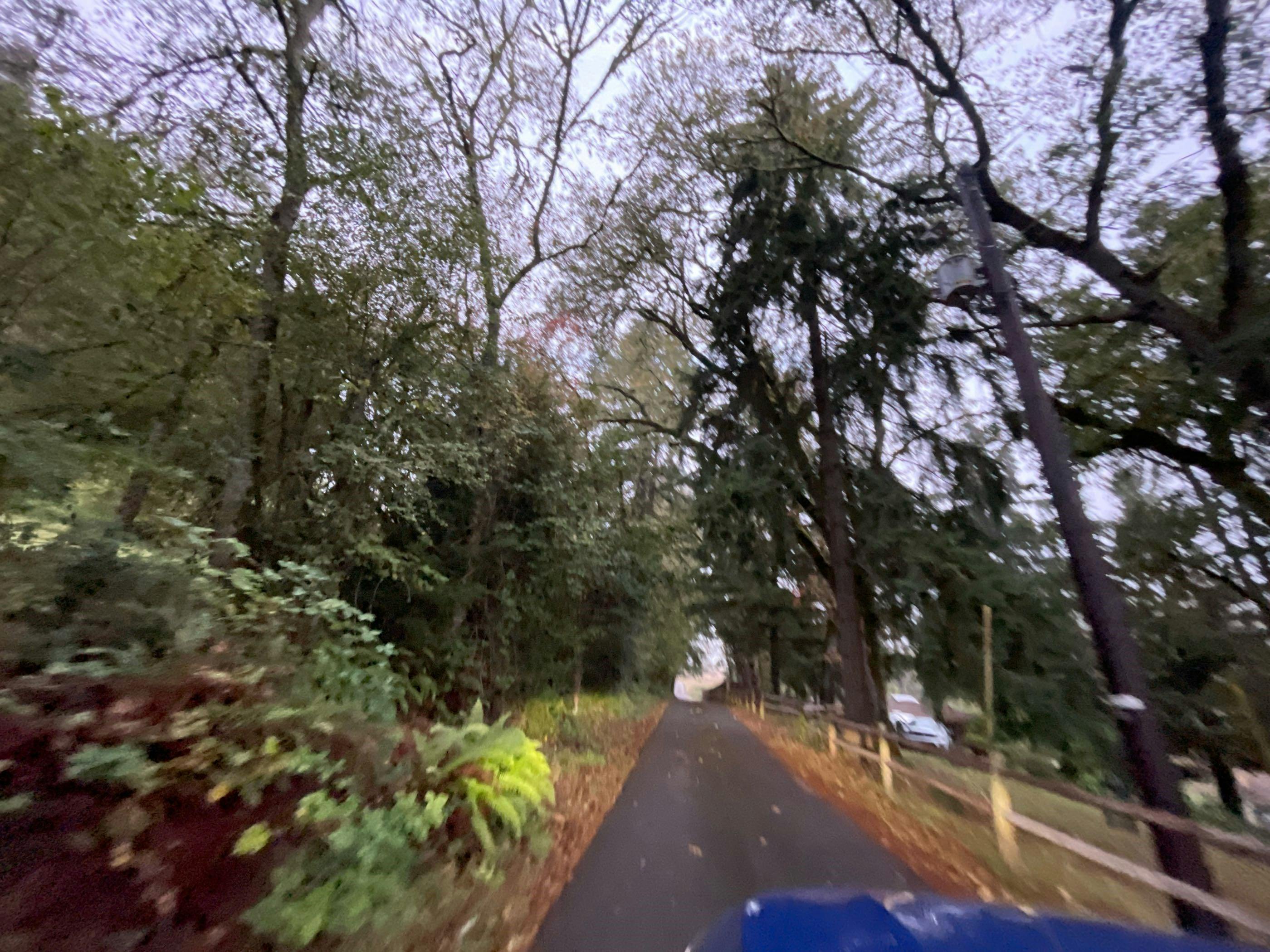 Ruth Ln, Eugene, OR 97402 #1
