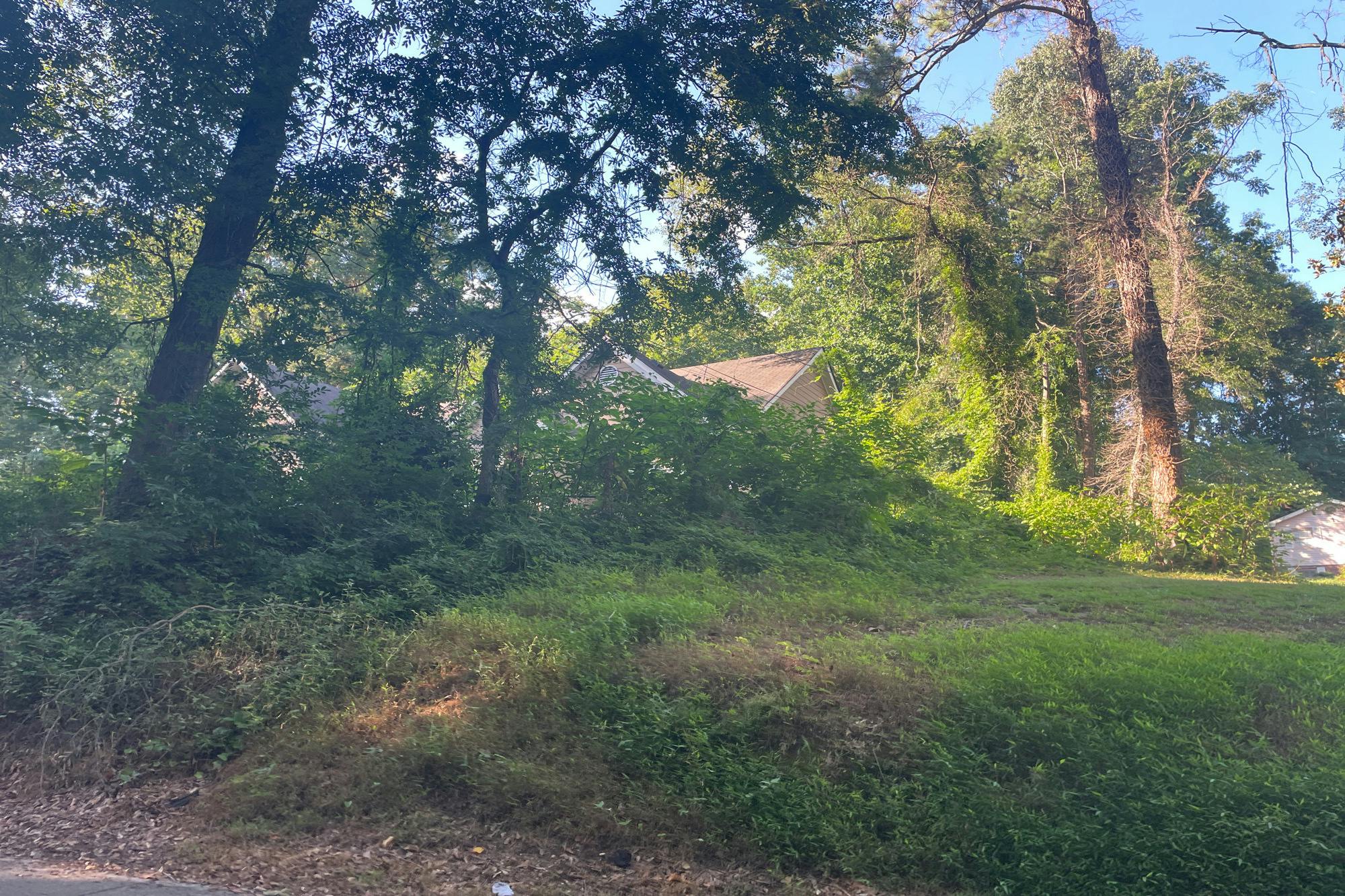 Ripplewater Dr, Atlanta, GA 30316 #1