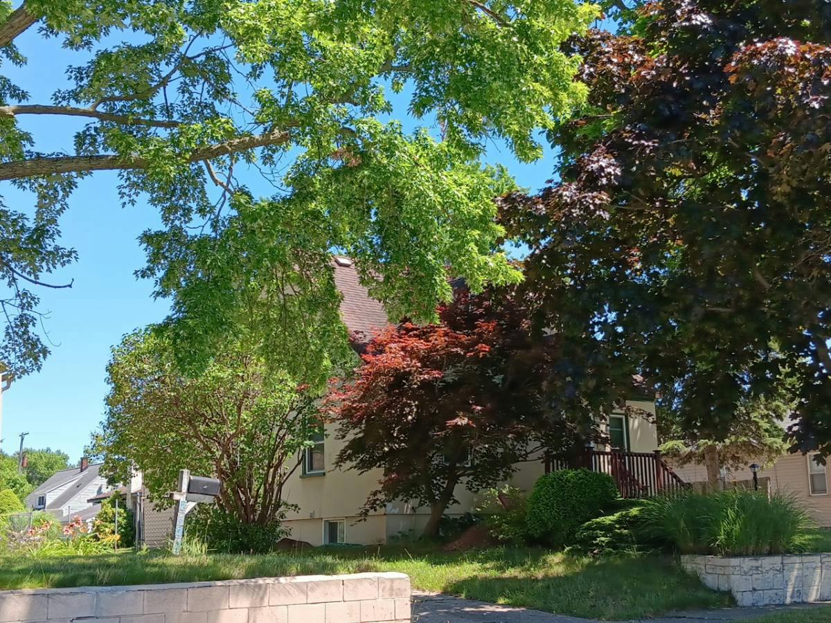Avon Ave, Wyoming, MI 49519 #1
