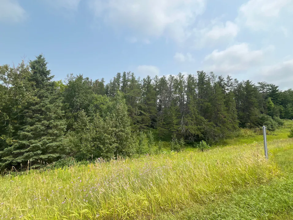 15050 Us 2 Bagley, MN 56621, Clearwater County