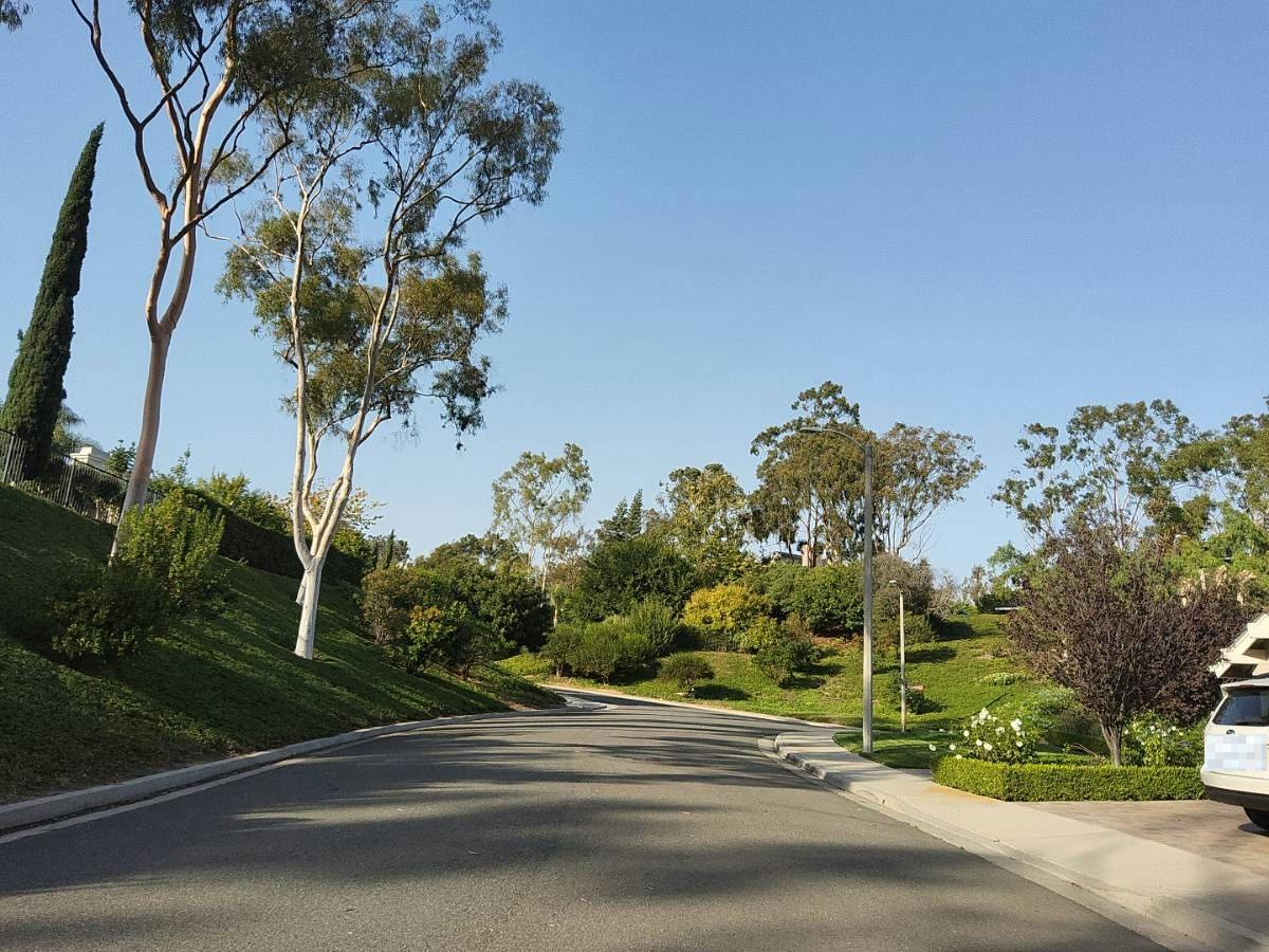 Sunrose , Irvine, CA 92603