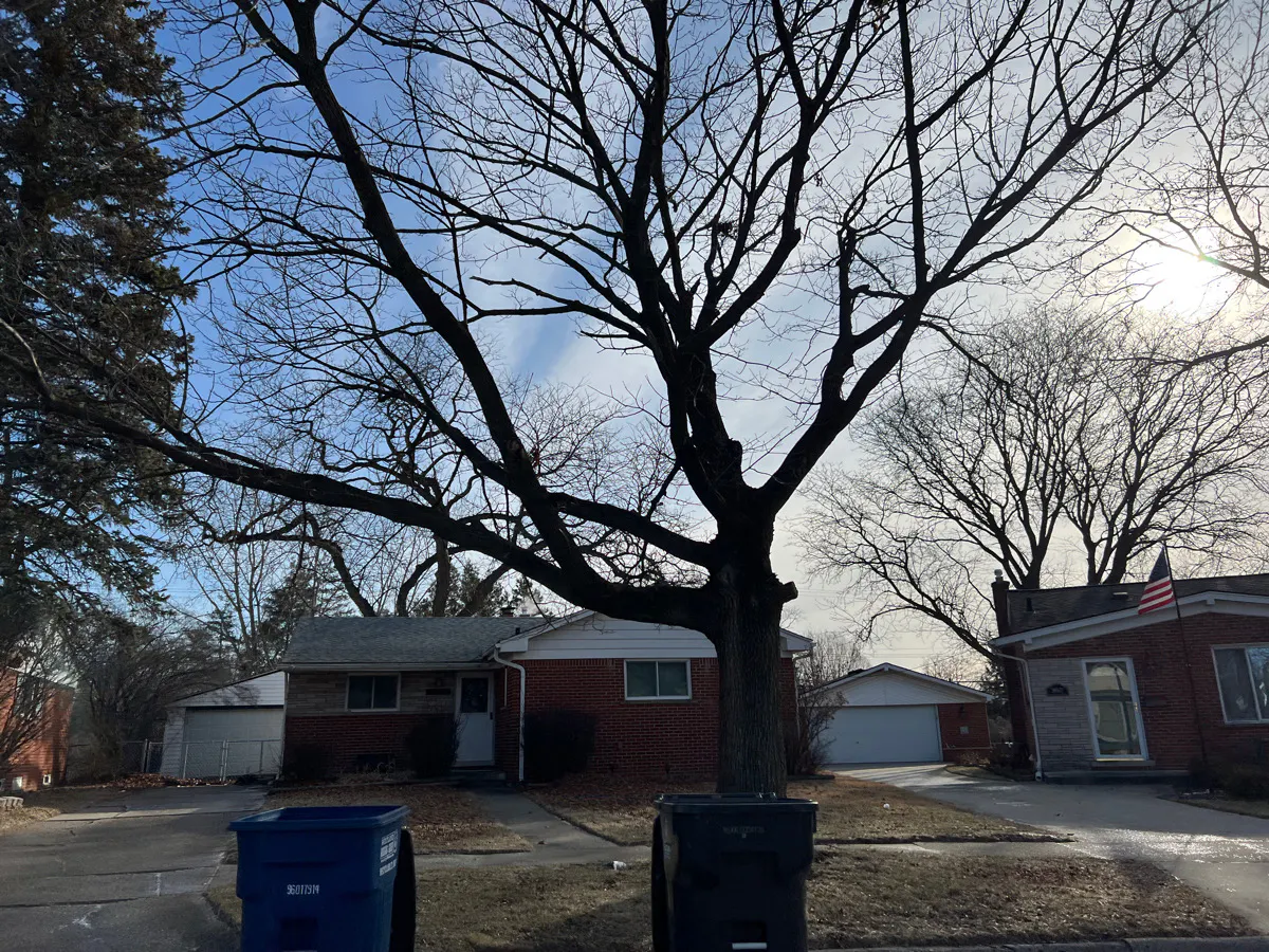 Merritt Dr, Westland, MI 48185 #1