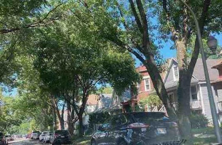 7823 S Marquette Ave Chicago, IL 60649, Cook County