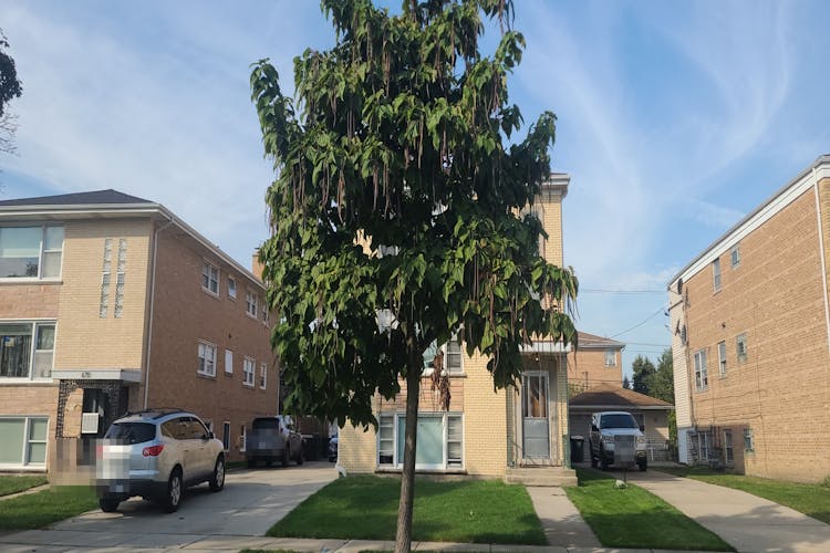 8716 North Elmore Street Niles, IL 60714, Cook County