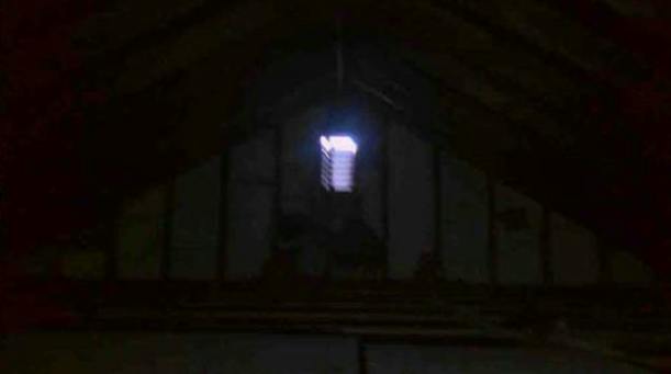 Marigold St, Homestead, PA 15120 #1