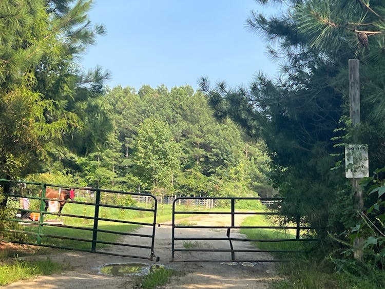 924 Salem Church Rd Mathews, VA 23045, Mathews County